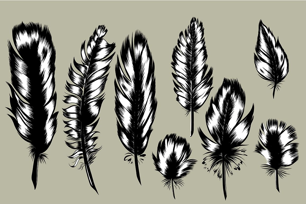 8 Hand Drawn Feathers set. example image 1