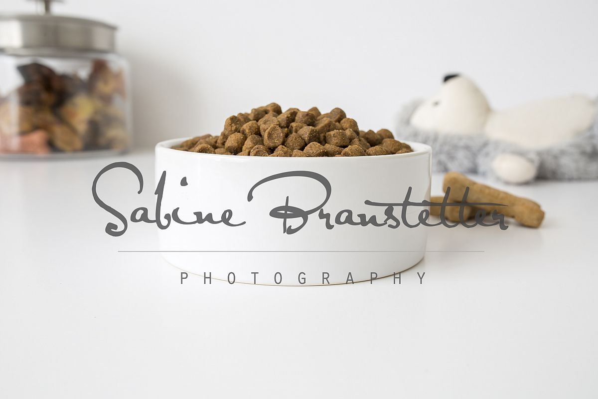 Styled Stock Photography White Pet Bowl Mockup example image 1