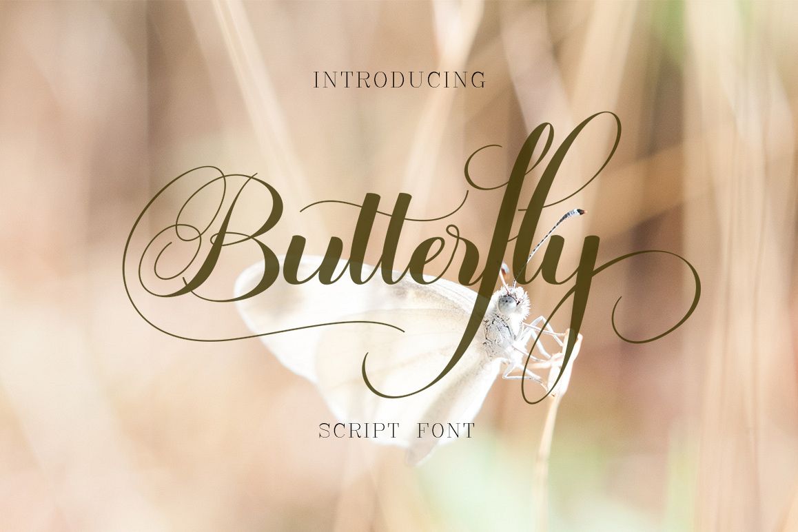 Butterfly Script example image 1