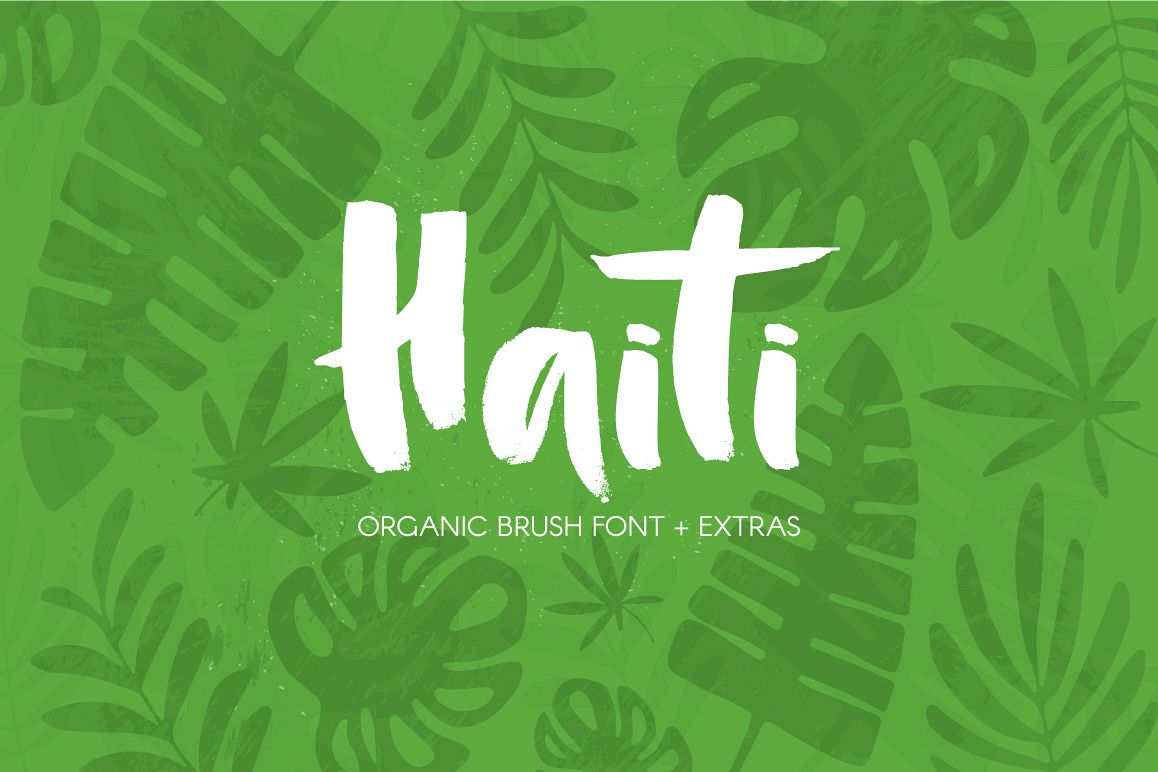 Haiti Organic Brush Font example image 1