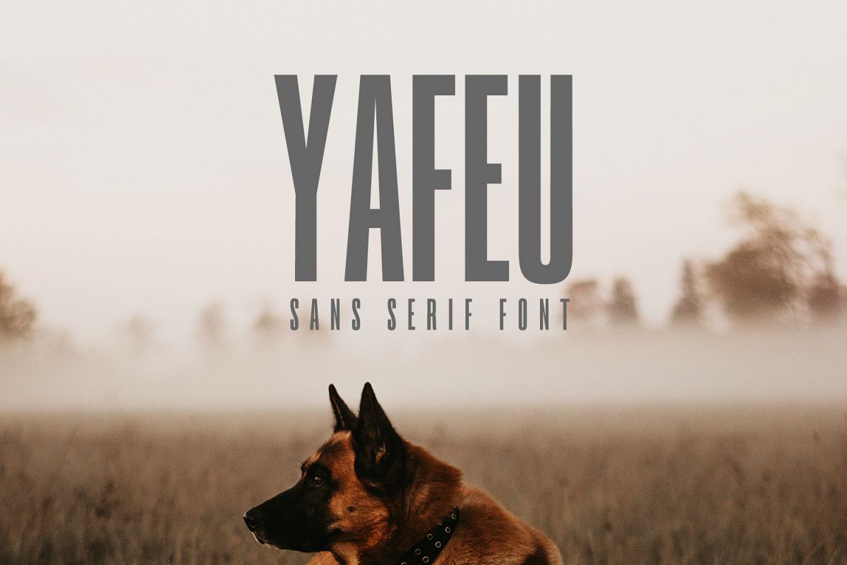 Yafeu Sans Serif Font Family example image 1