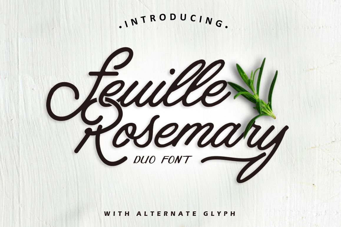 Feuille Rosemary example image 1