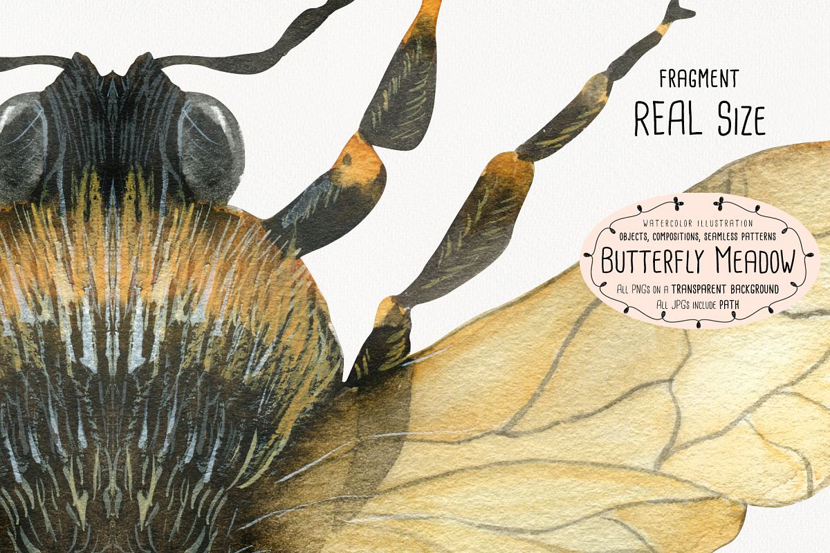 The Butterfly Meadow example image 1