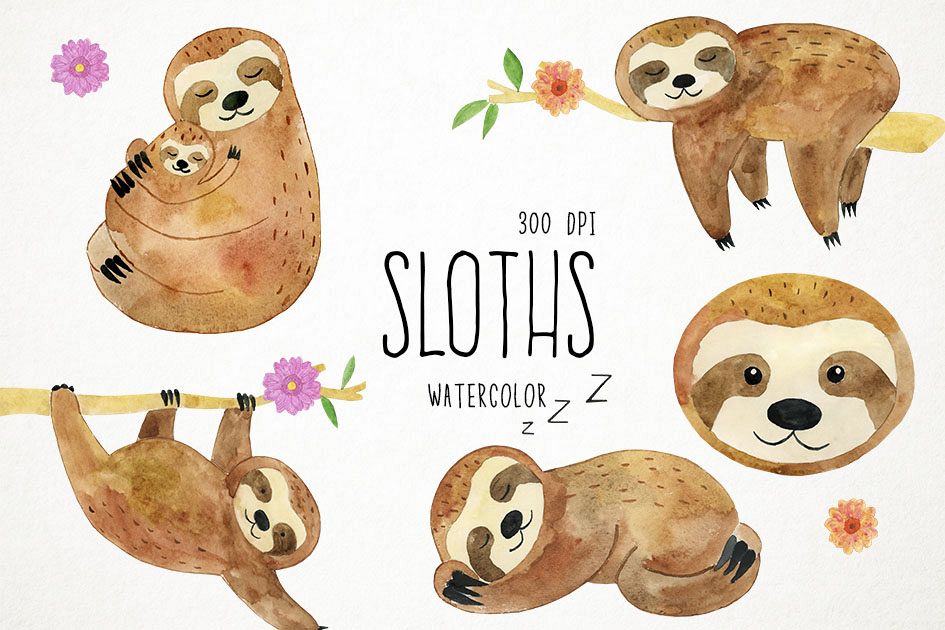 Watercolor Sloths Clipart, Animals Clipart, Sleepy Sloths example image 1
