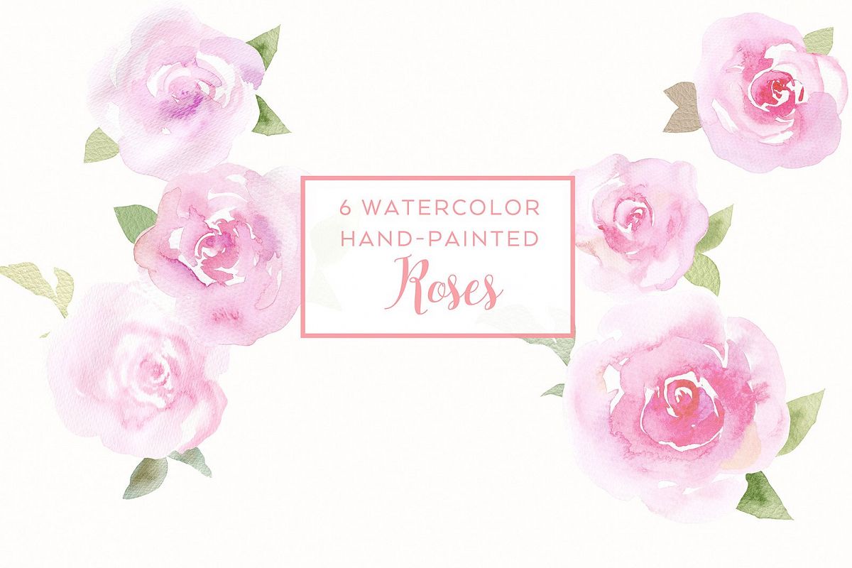 6 watercolor rose illustrations example image 1