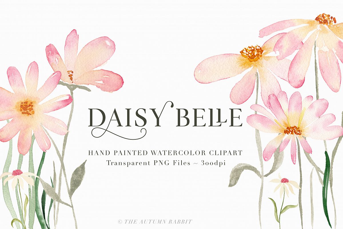 Watercolor Floral Clipart - Daisy Belle example image 1