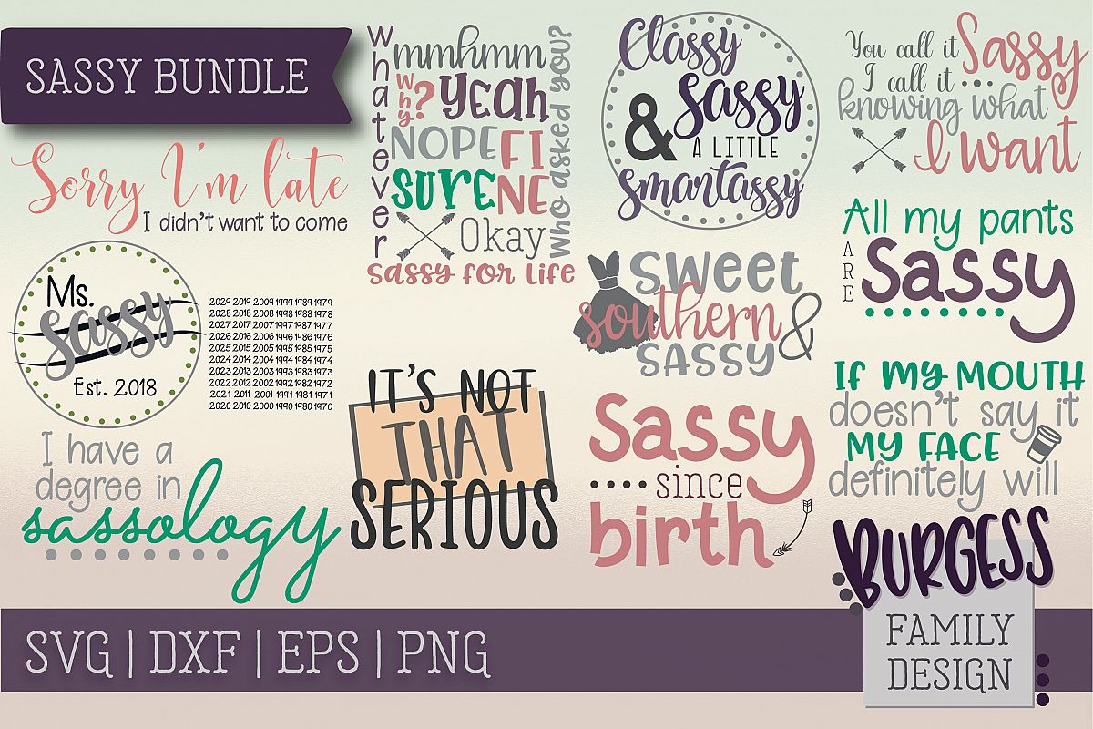 Sassy Bundle | SVG DXF EPS PNG example image 1