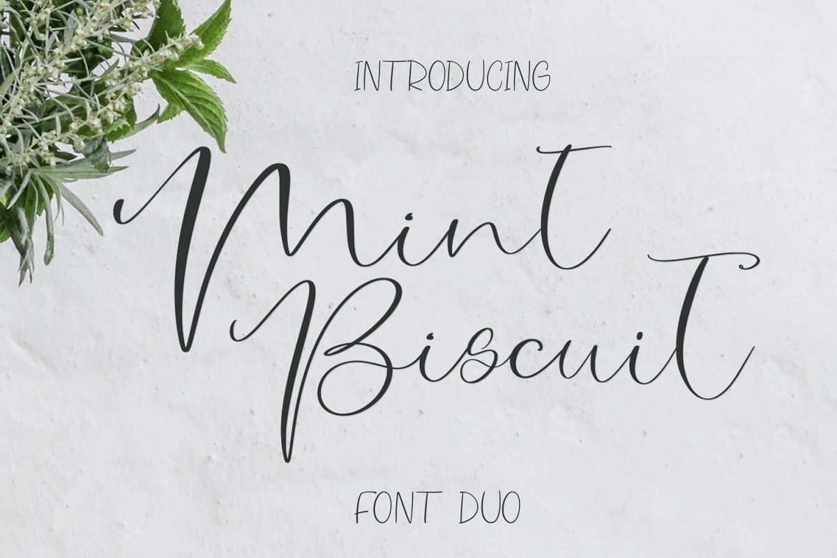 Mint Biscuit Font Duo example image 1
