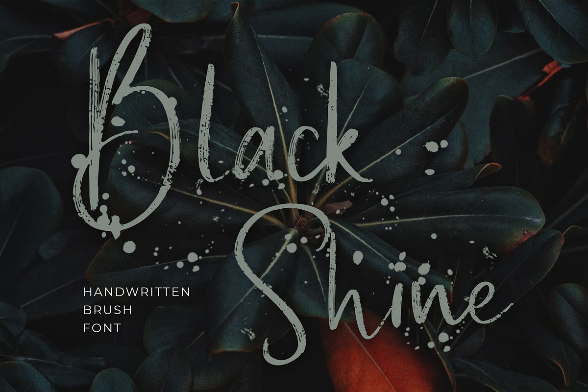 Black Shine Script Brush Font example image 1