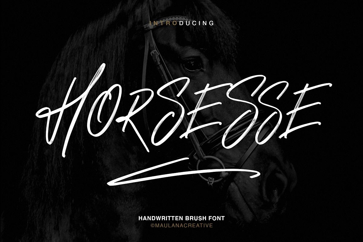 Horsesse Brush Font example image 1