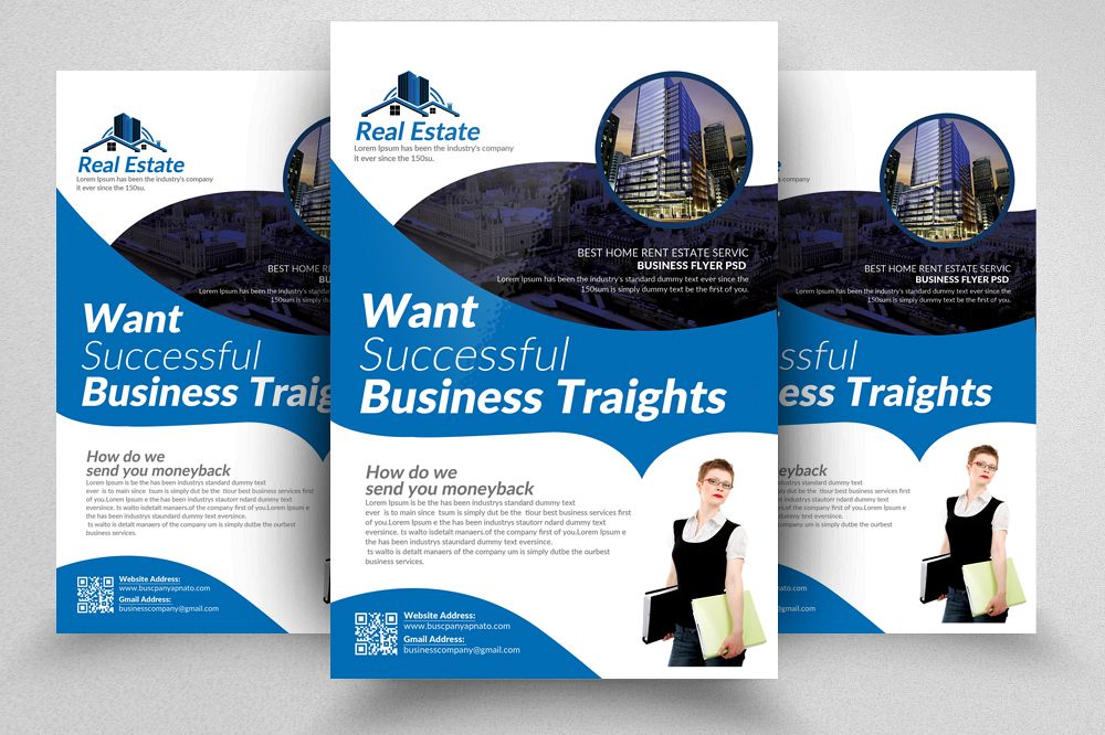 Business Executive Coach Pro Flyer (82039) | Flyers | Design Bundles