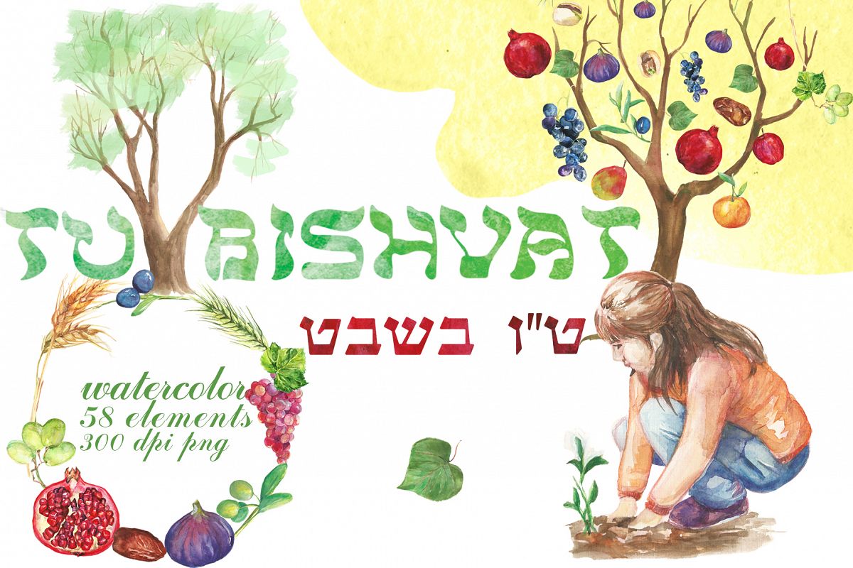 Watercolor Tu Bishvat digital clip art example image 1