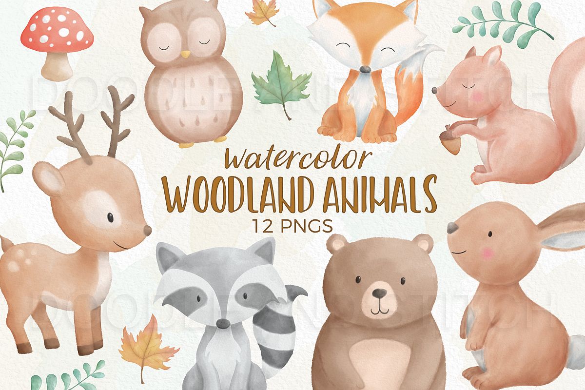 Download Watercolor Woodland Animal Designs (245777 ...