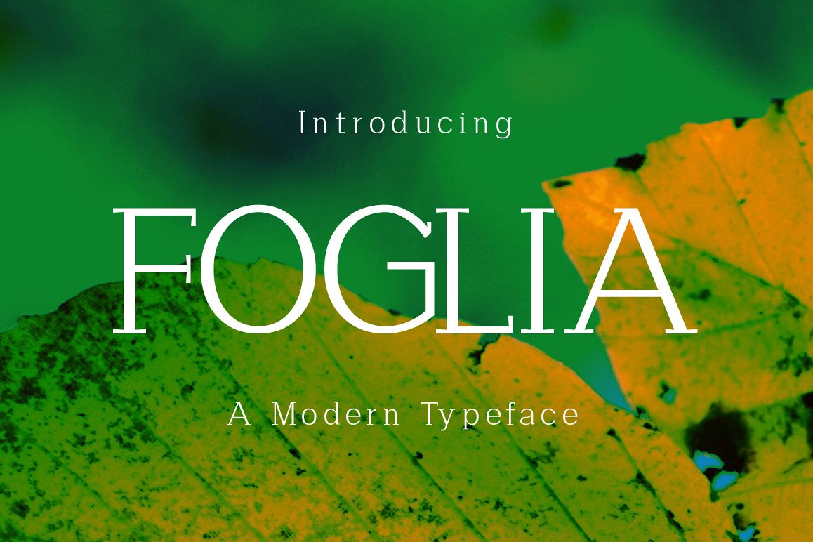 Foglia example image 1