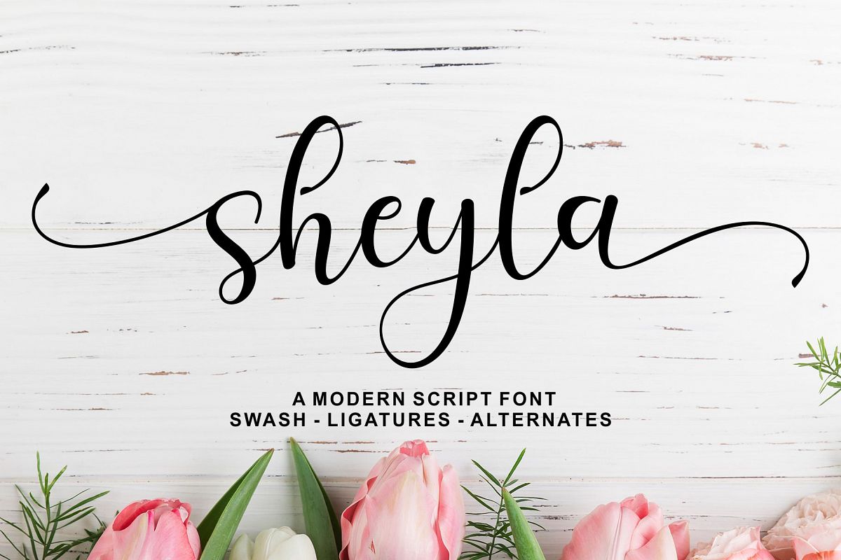 Sheyla Modern Script example image 1