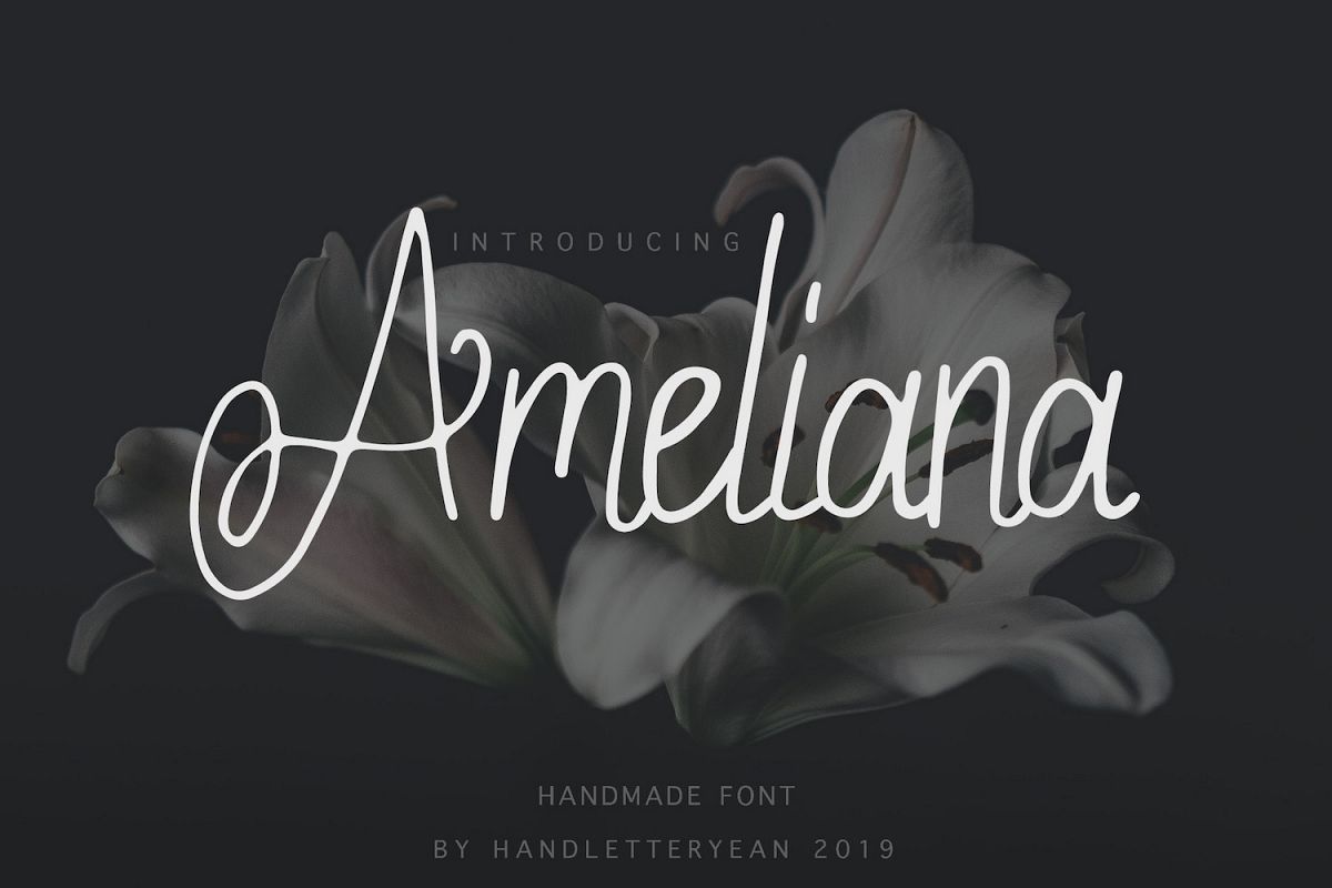 Ameliana example image 1