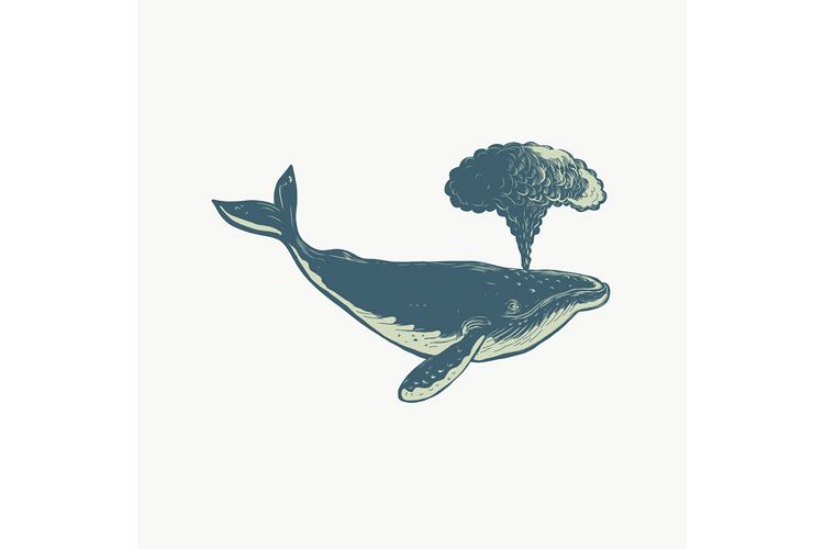 Humpback Whale Blowing Water Scratchboard example image 1