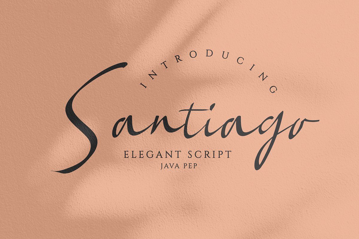 Santiago - Elegant Font example image 1