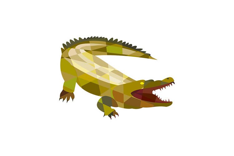 Alligator Crocodile Gaping Mouth Low Polygon example image 1