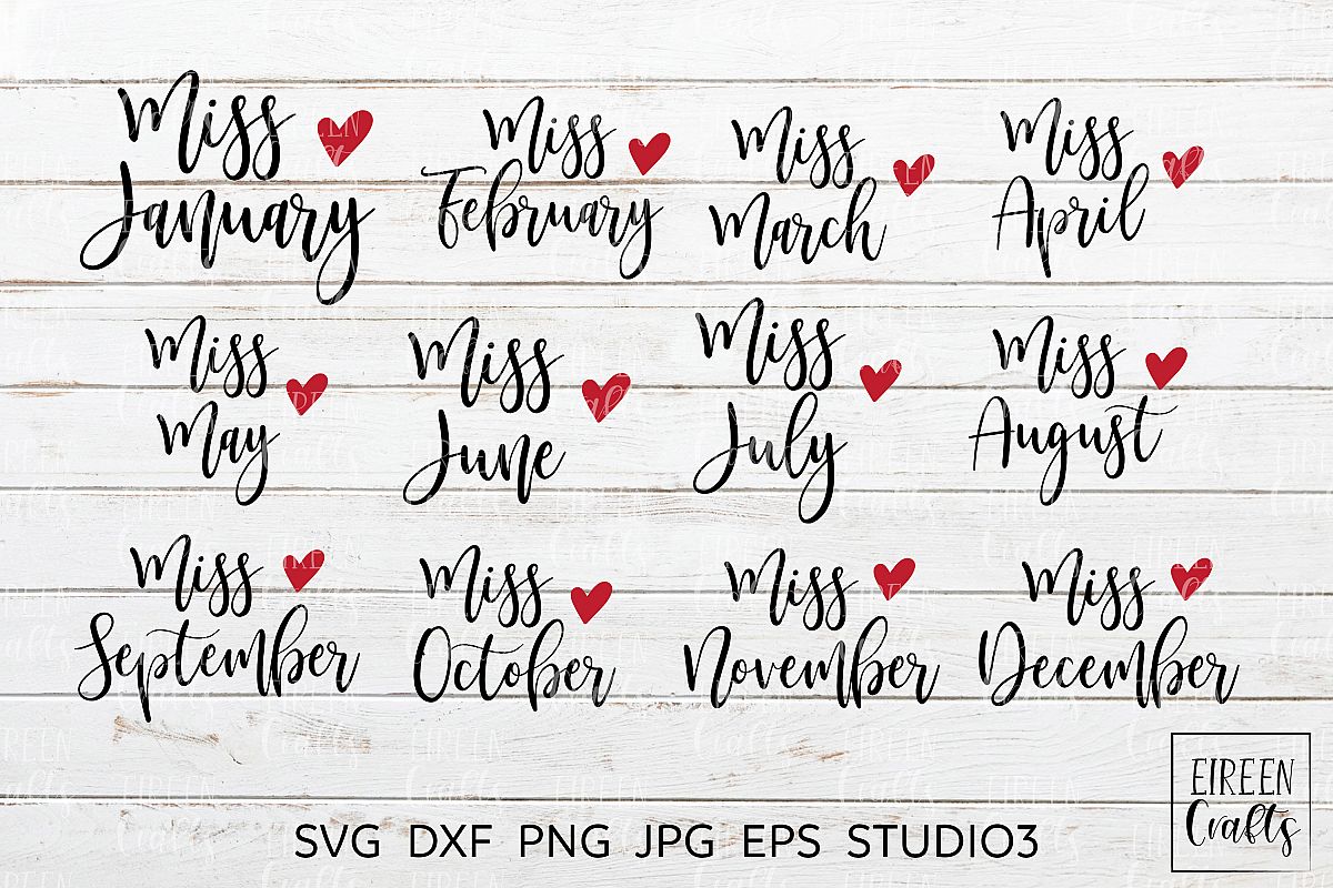 Miss January to Miss December SVG bundle example image 1