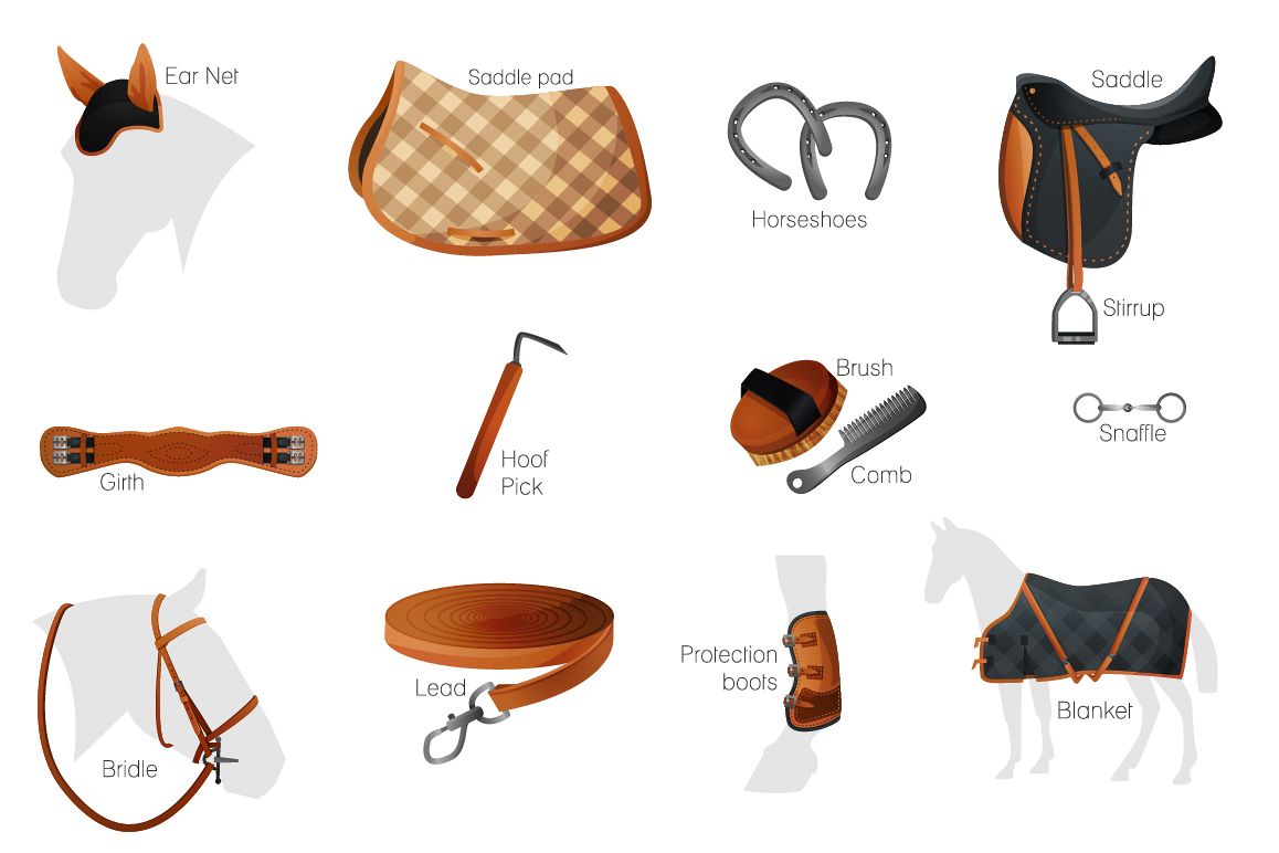 Vector Equestrian Horse Equipment 13 Items In 2 Color Bonus Horse 