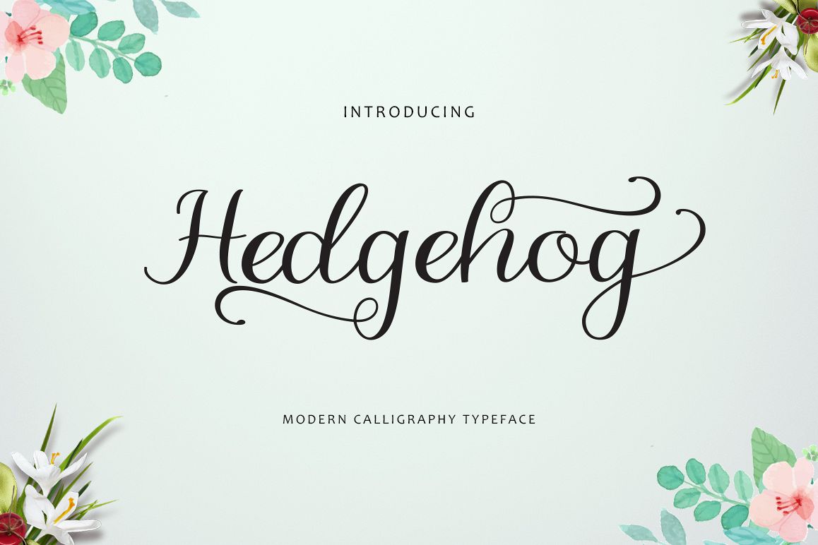 Hedgehog example image 1