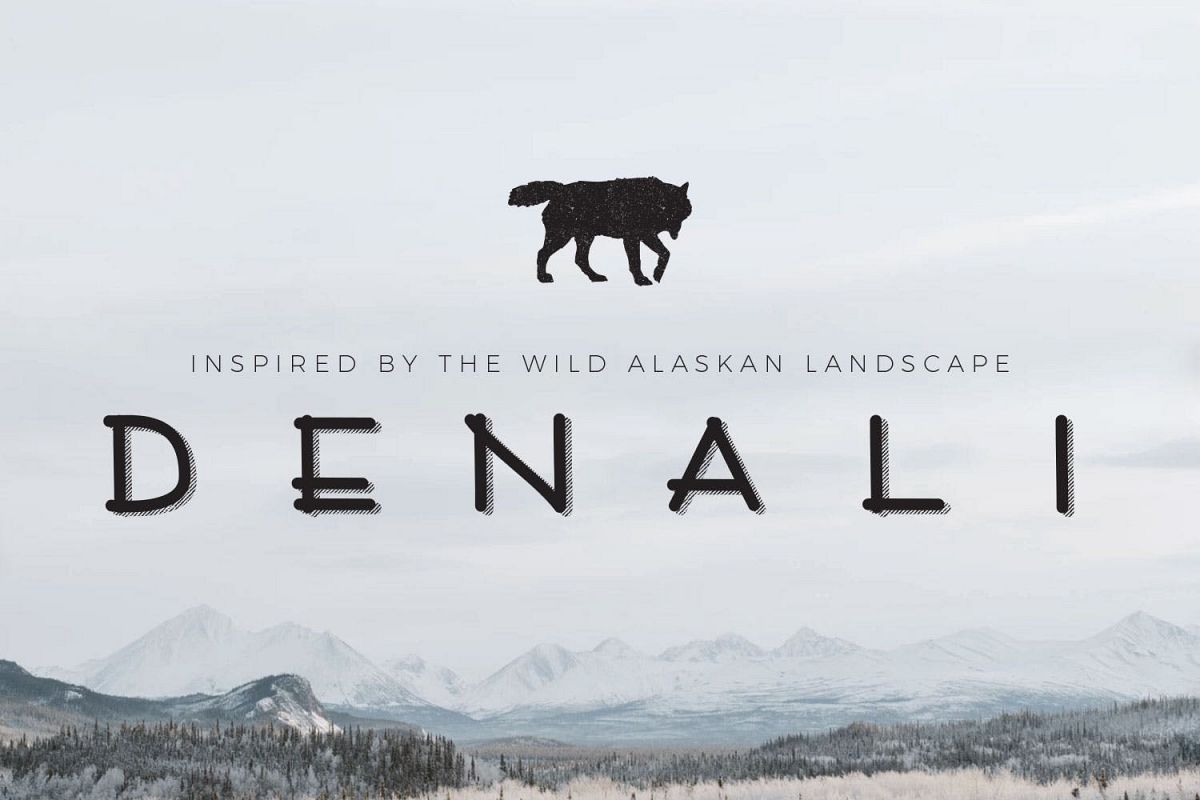 Denali | A Wild Alaskan Sans-Serif example image 1