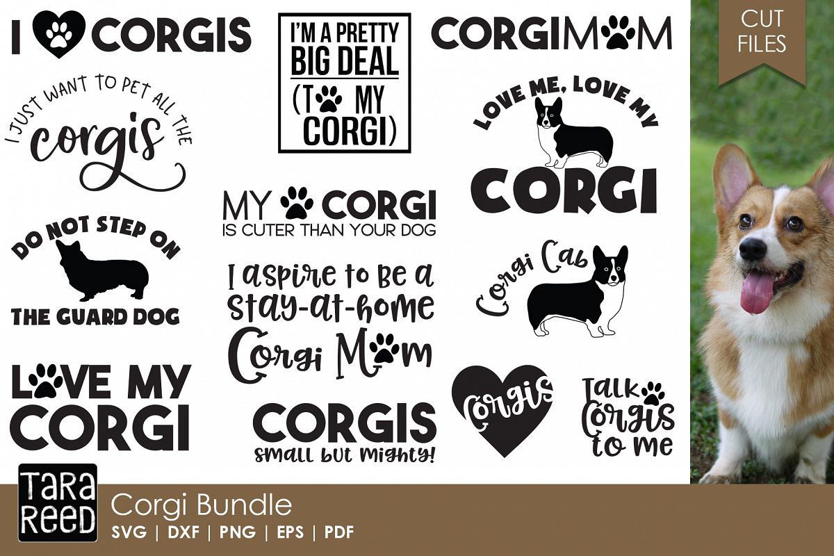 Download Corgi Bundle (97877) | Cut Files | Design Bundles