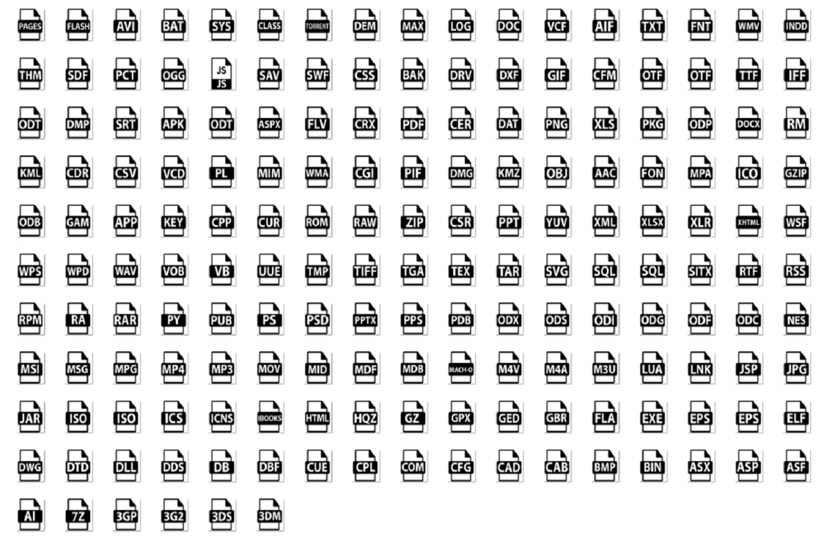File format text example image 1