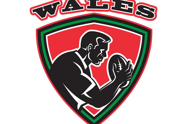 Rugby player Wales shield example image 1
