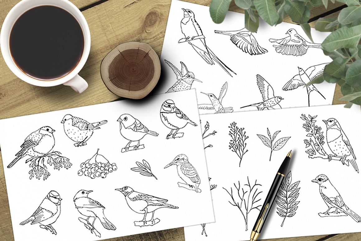 Sketch birds. Vector set. example image 1