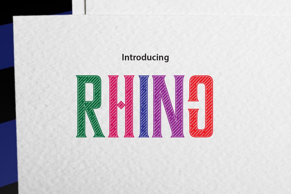 RHINO example image 1