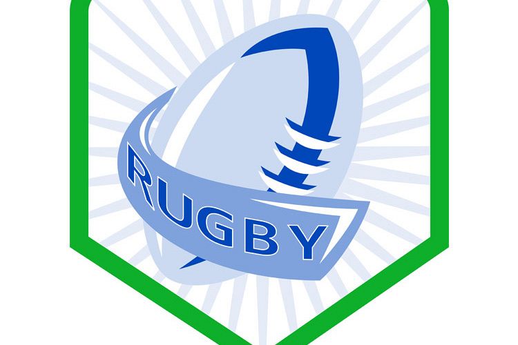 rugby ball shield example image 1