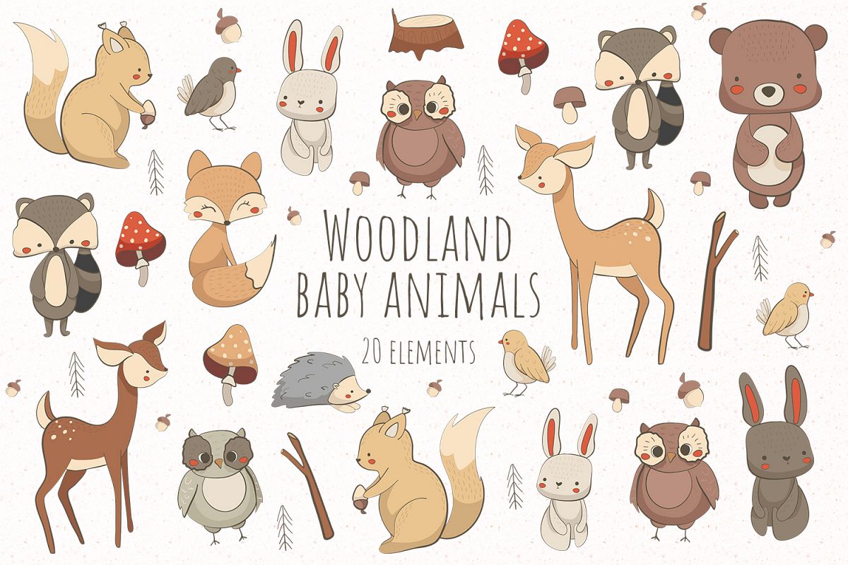 Woodland baby animals
