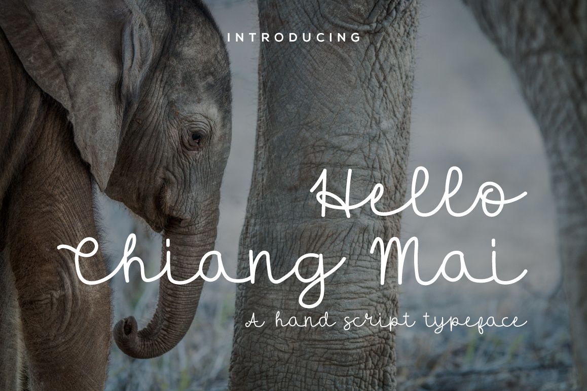 Hello Chiang Mai Script example image 1