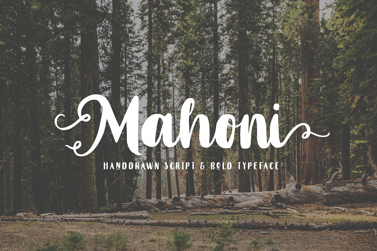 Mahoni - Script & Bold font example image 1
