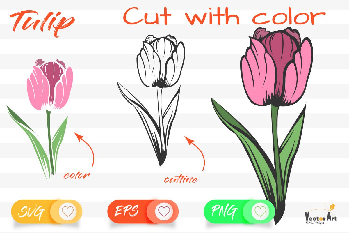 Download Tulip Flower - Cut File with 2 Layers