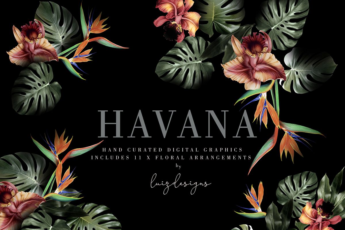 Havana example image 1