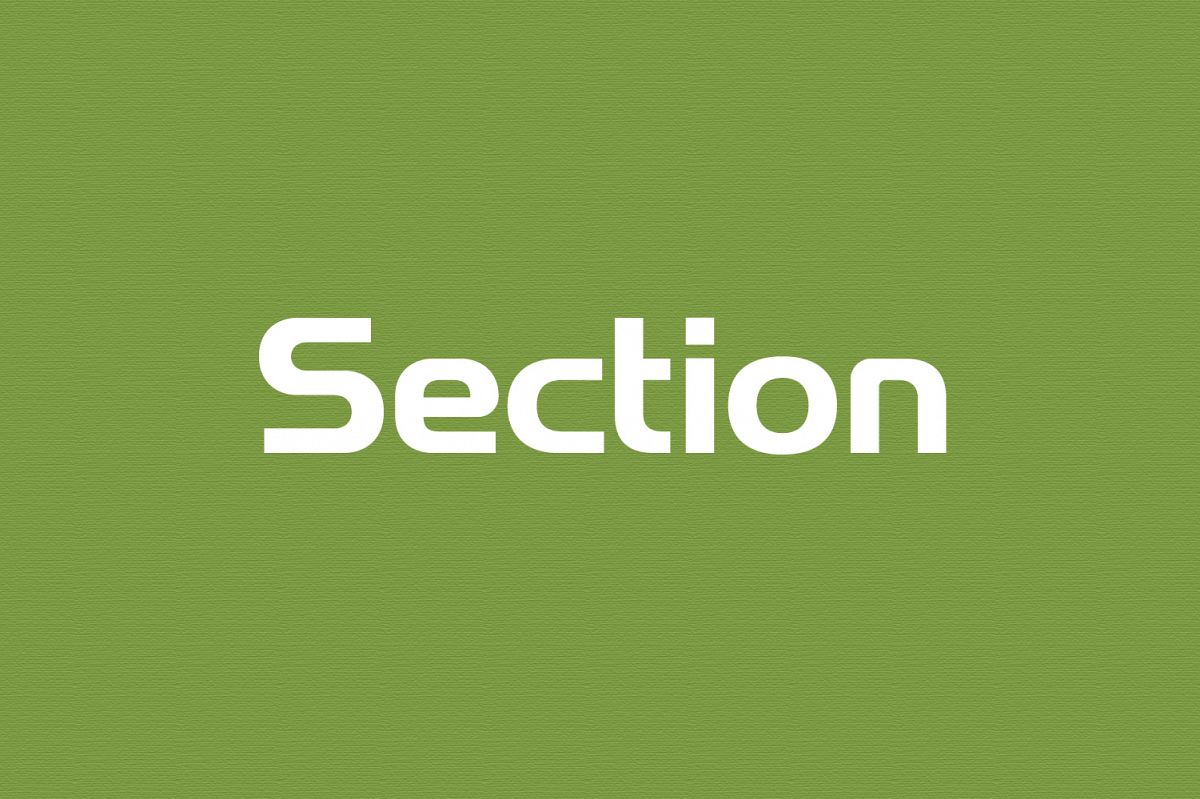 Section - Wordmark Font example image 1
