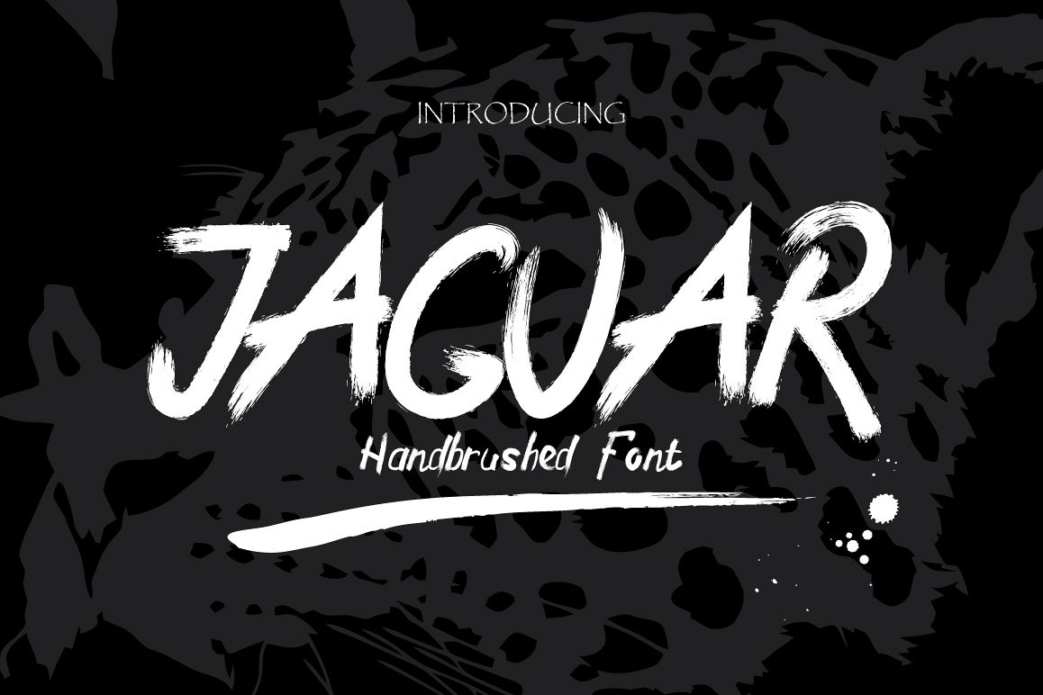 Jaguar Typeface + Swashes example image 1