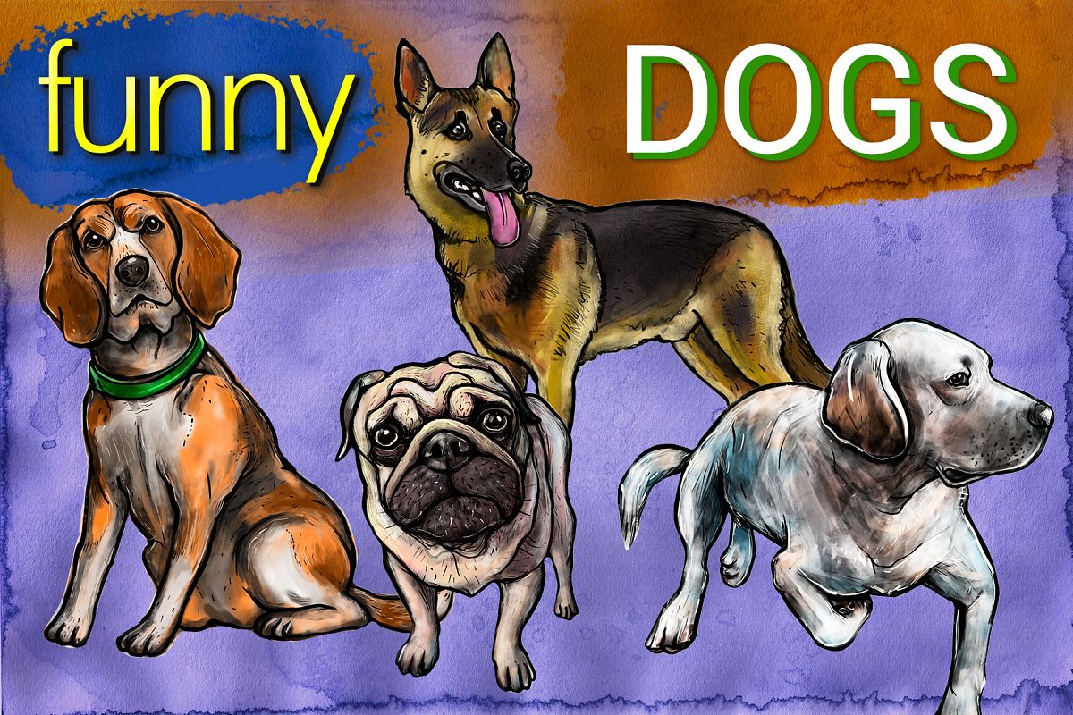 Funny dogs example image 1
