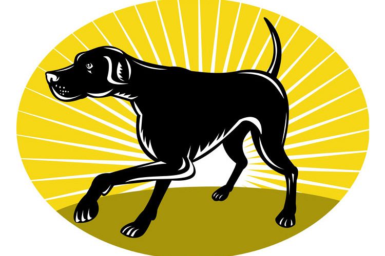 Pointer dog with sunburst retro style example image 1