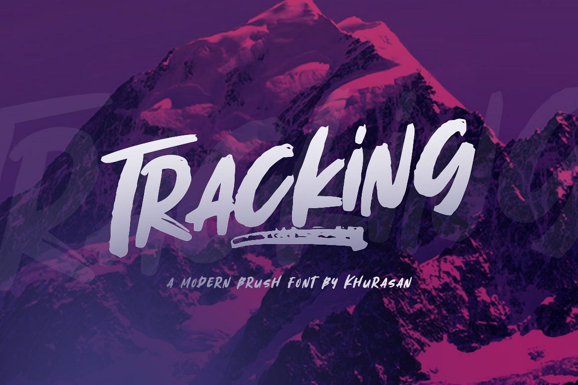 Tracking example image 1