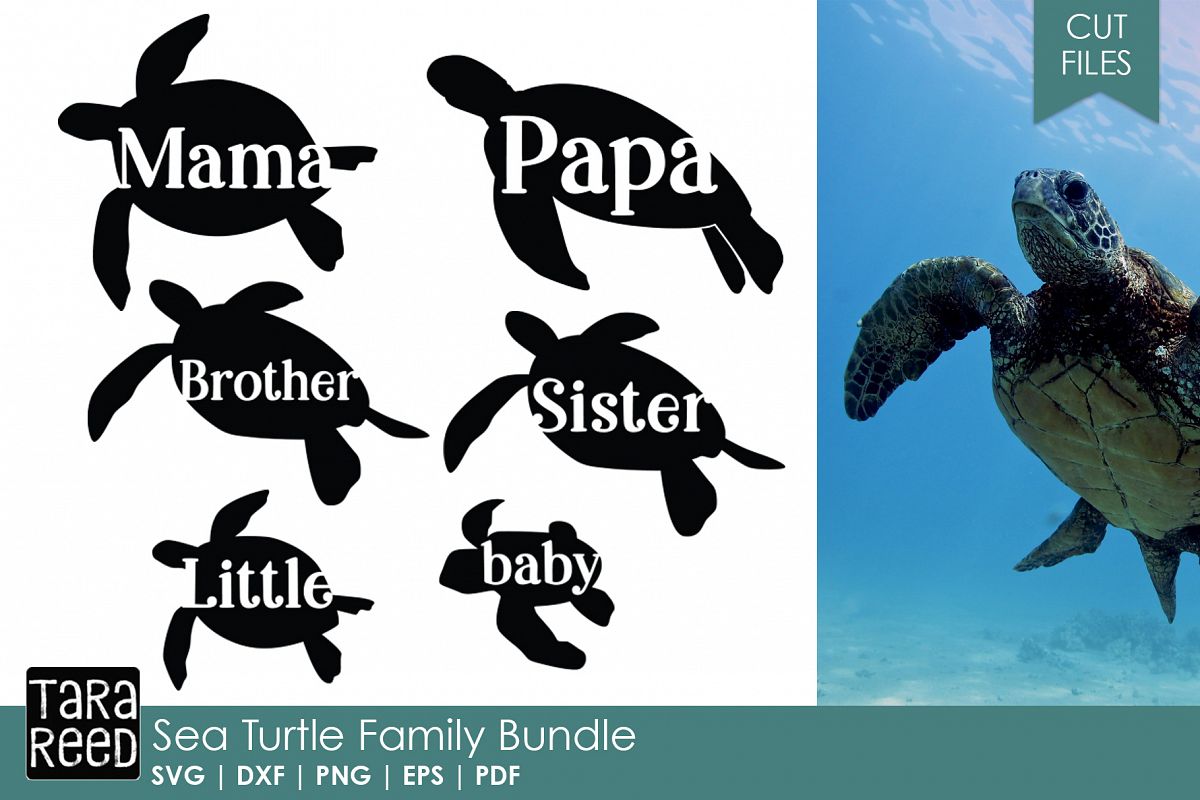 Sea Turtle Family - Sea Turtle SVG and Cut Files for Crafter