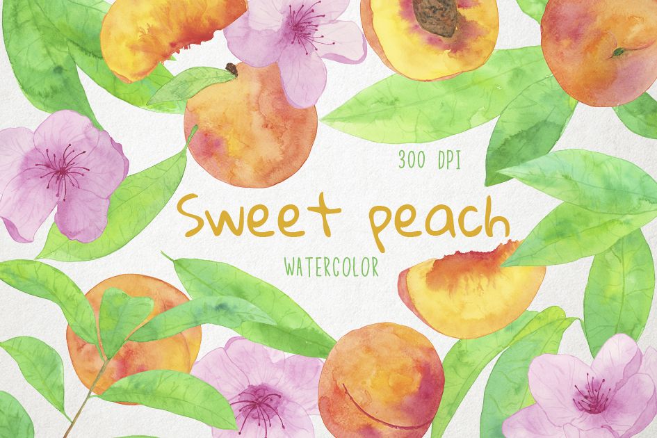 Peach Clipart, Peach Clip Art, Peach Illustration, Peach PNG example image 1