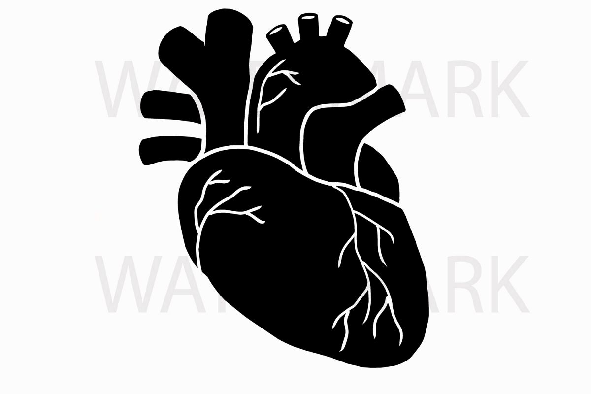 Human Real Heart in Black - SVG/JPG/PNG Hand Drawing example image 1
