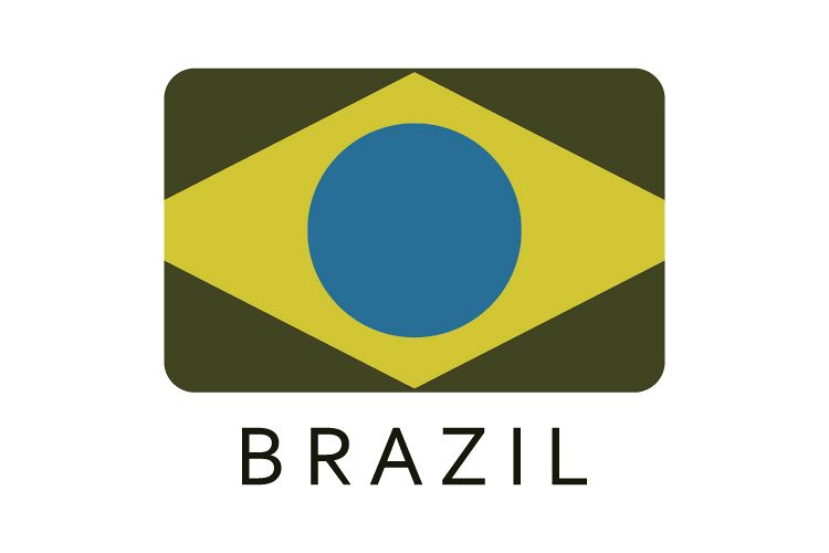 Brazil flag example image 1
