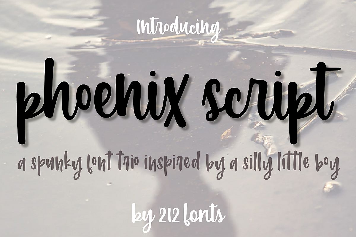 212 Phoenix Wild Font Trio example image 1