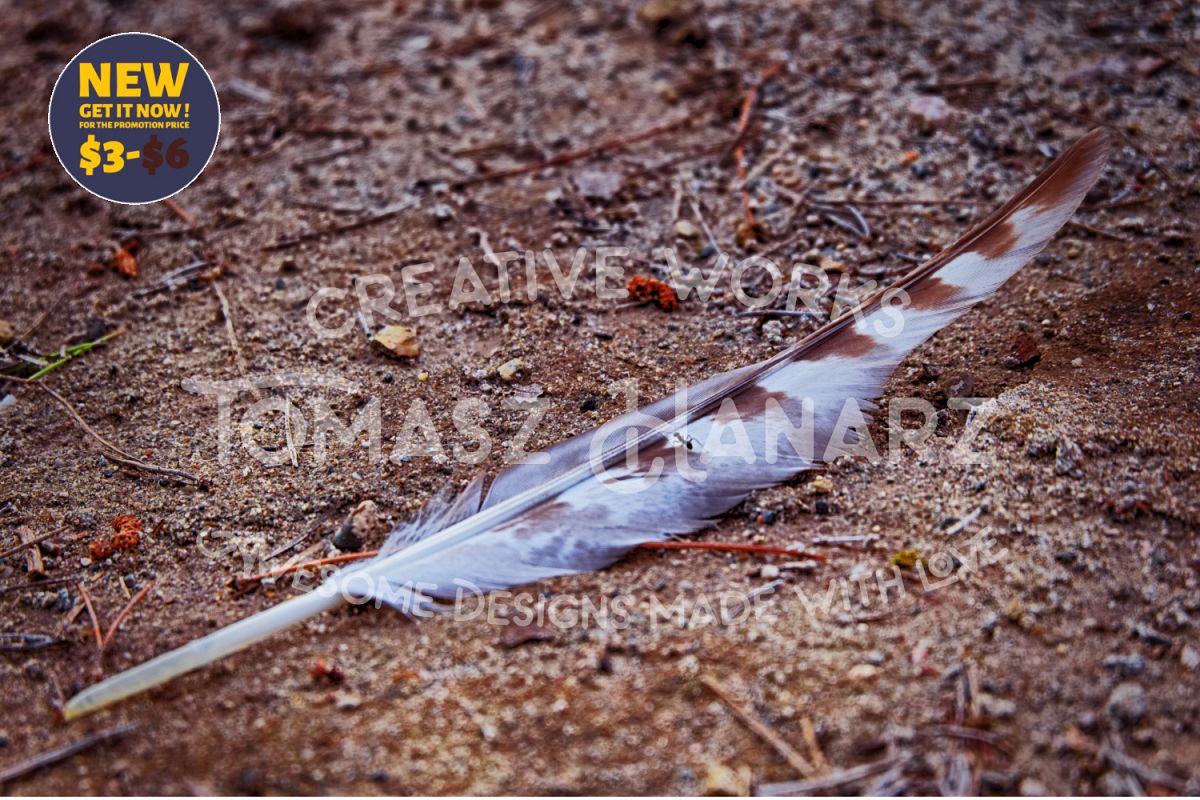 Vintage Feather On The Ground example image 1