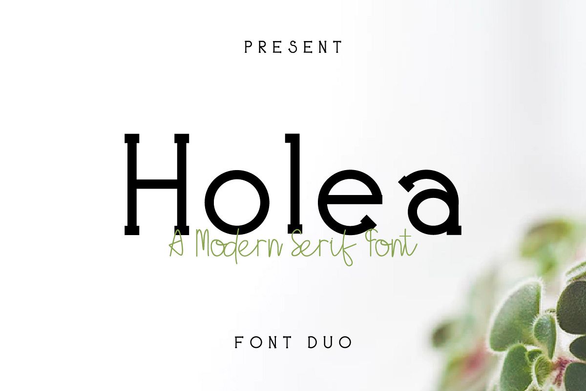 Holea example image 1